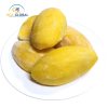 FROZEN MANGO