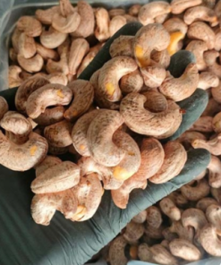 ROASTED CASHEW NUT