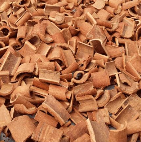SQUARE CUT CASSIA CINNAMON