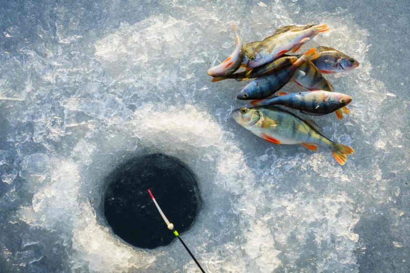 Explore ice fishing gambling game